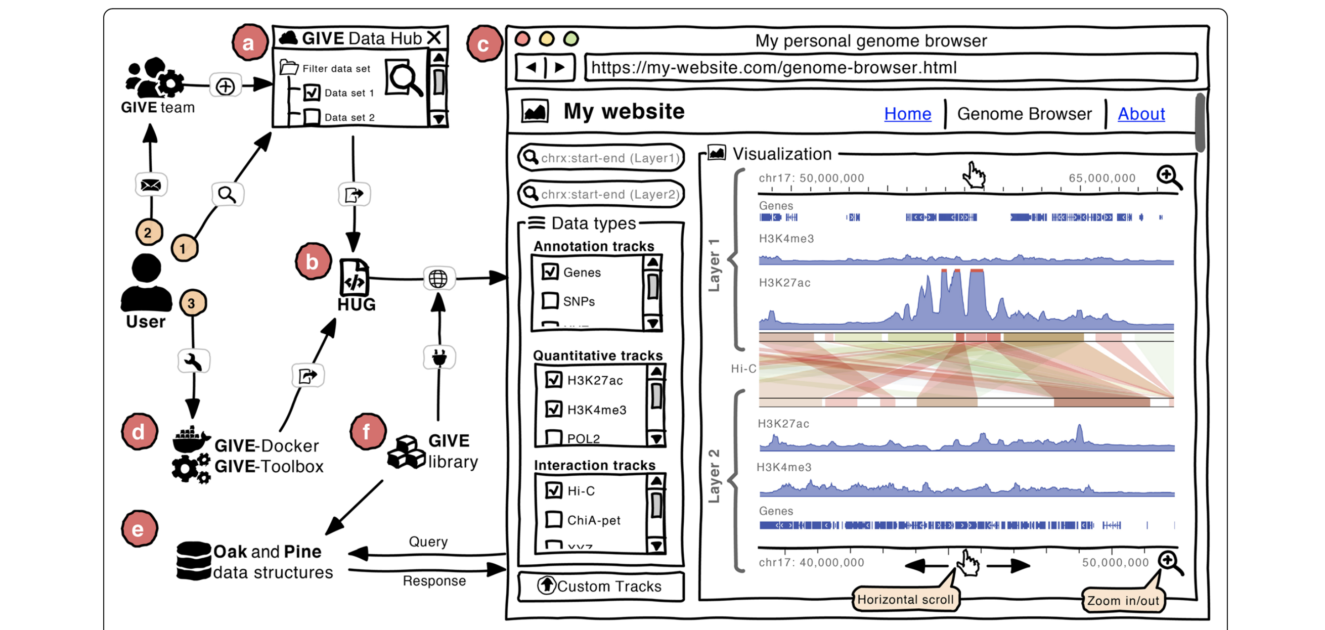 Genome browser. Bluejay Genome browser.